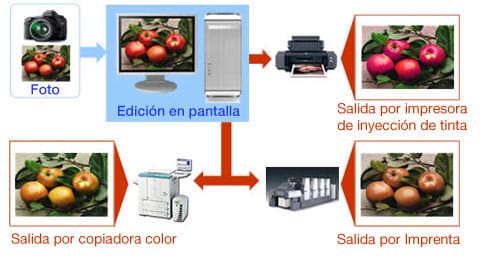 ¿Qué es la gestión de color?